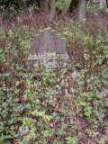 image of grave number 199783